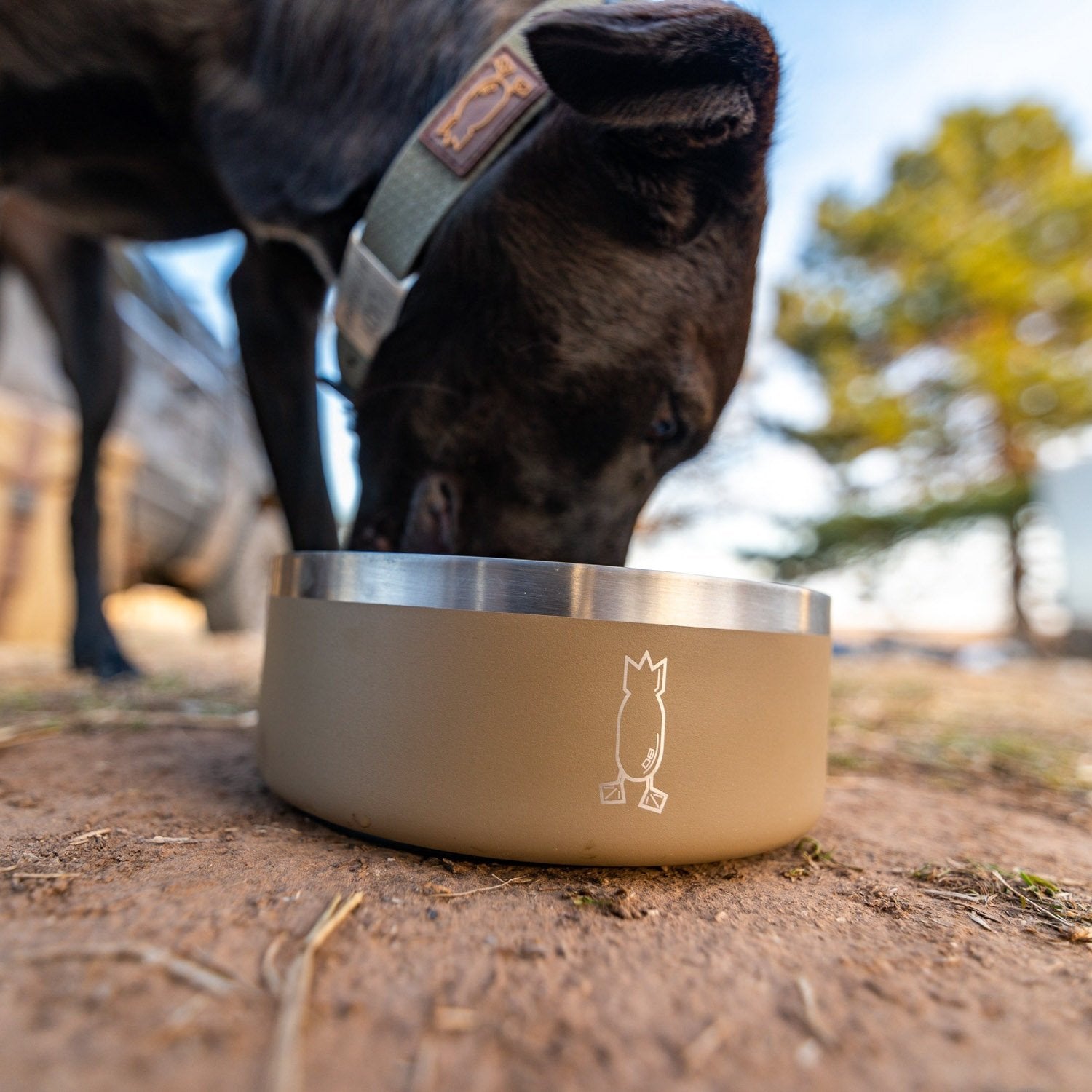 Dog Bowl Otter Brown