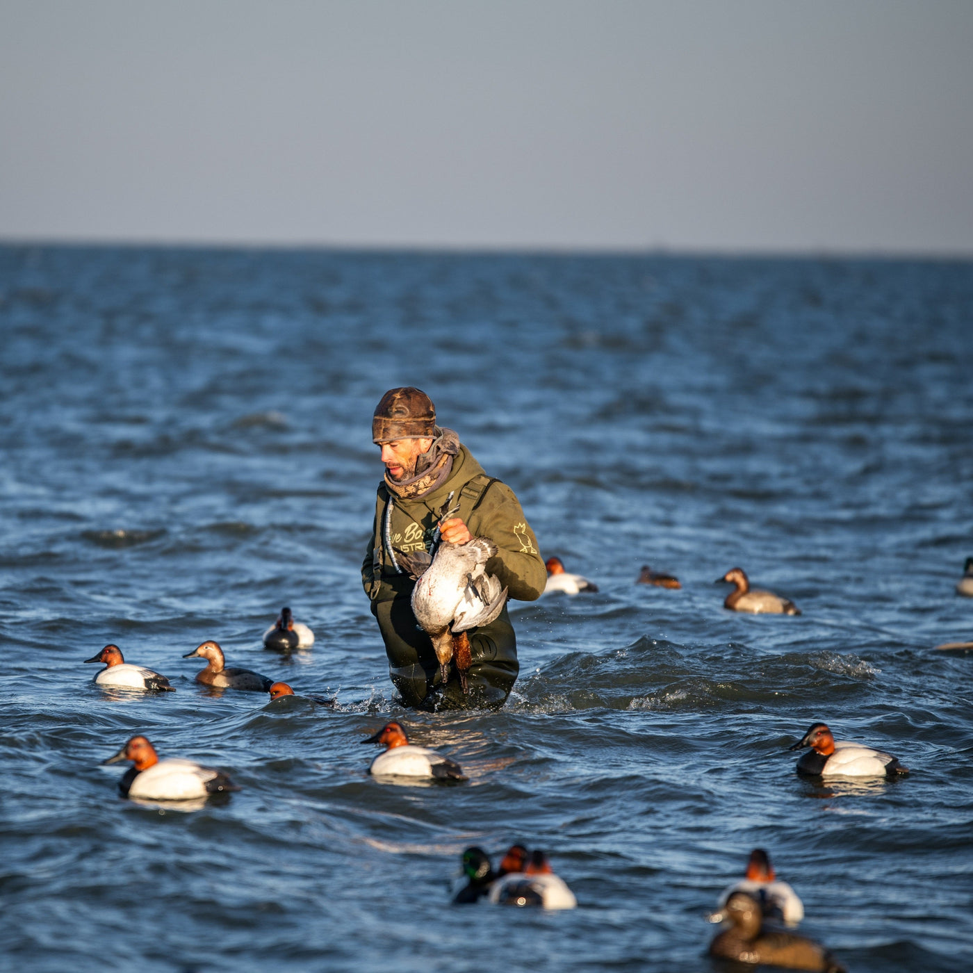 F1 Canvasback Floaters