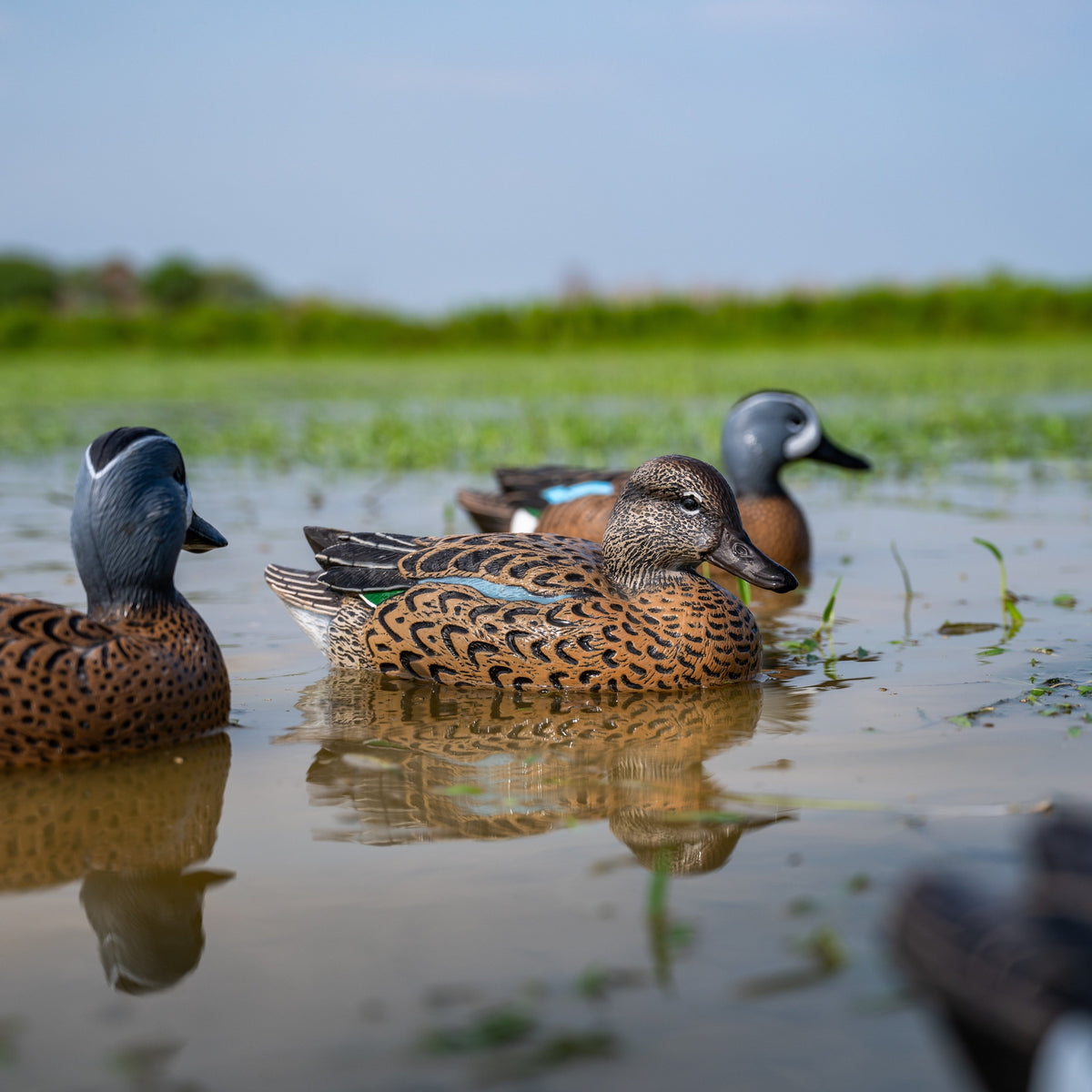 Guilda Floaters Teal, Wood Duck, & Gadwall Floaters – Dive Bomb Industries