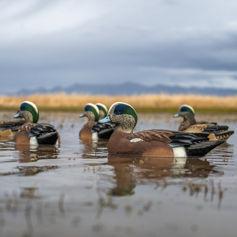 Fully Flocked Wigeon Floaters Floaters 6 pack