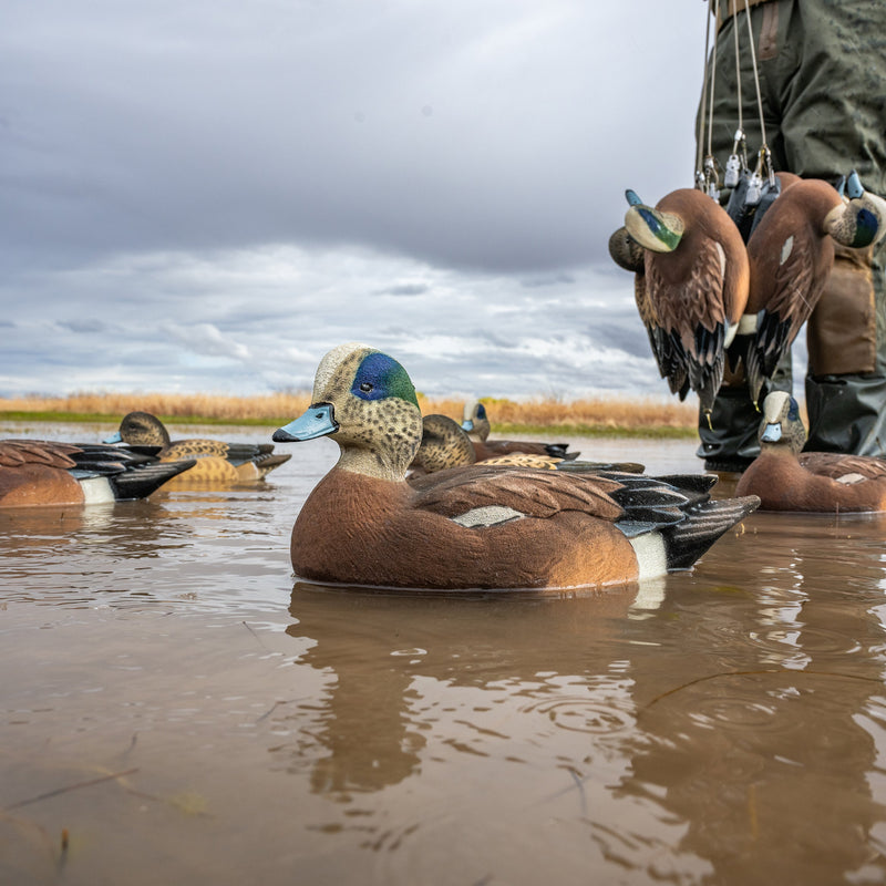 Fully Flocked Wigeon Floaters Floaters