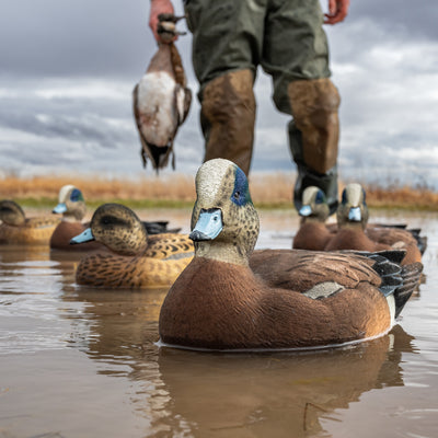 F1FF (Fully Flocked) Wigeon Floaters