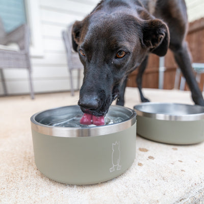 64 oz Fido Dog Bowl