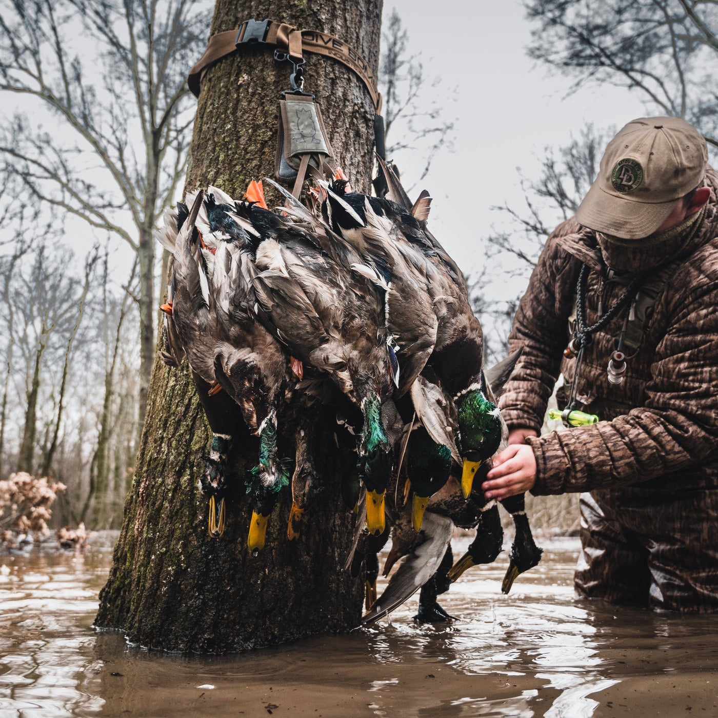 Timber Strap - Duck Hunting Tree Strap