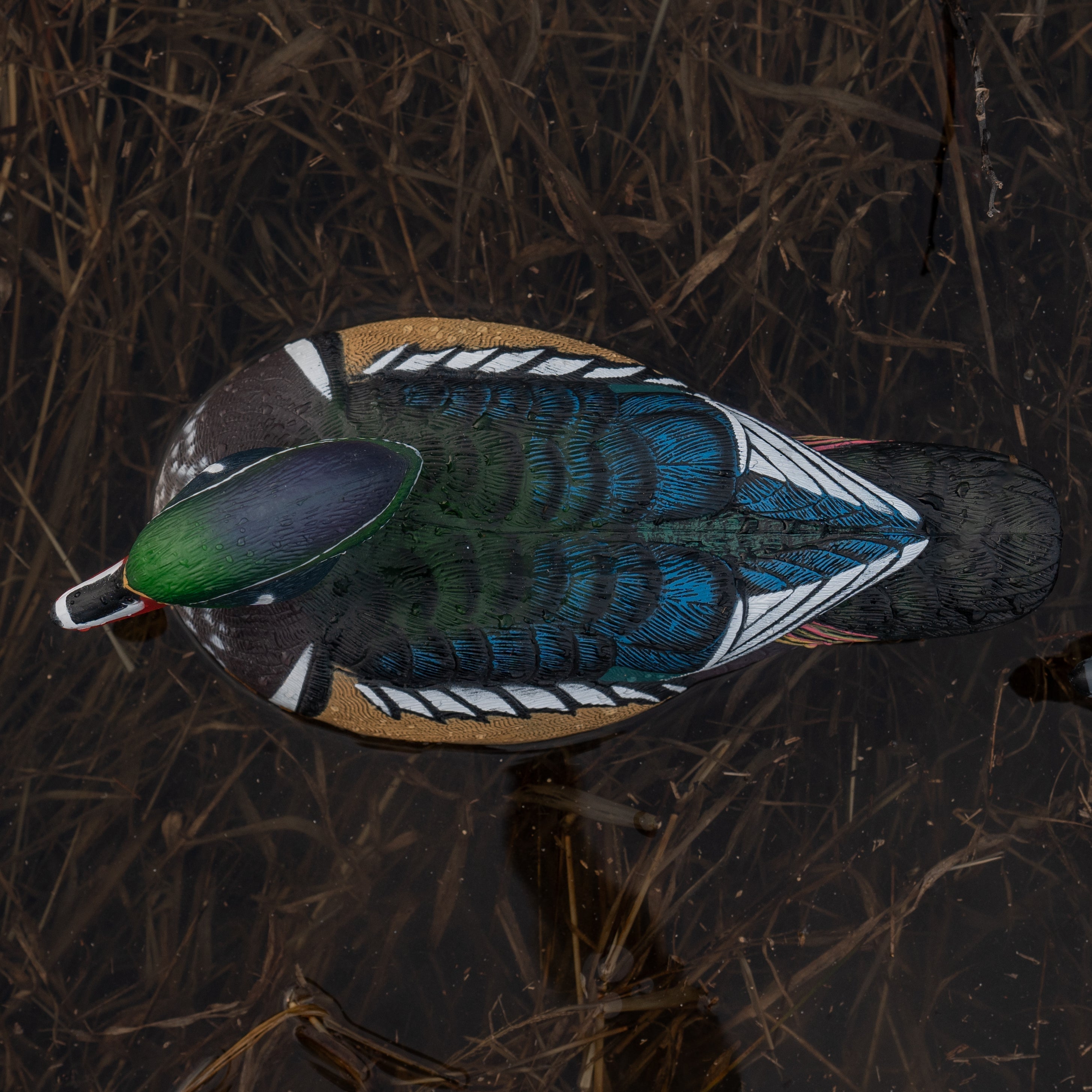 Wood Duck Floaters Floaters