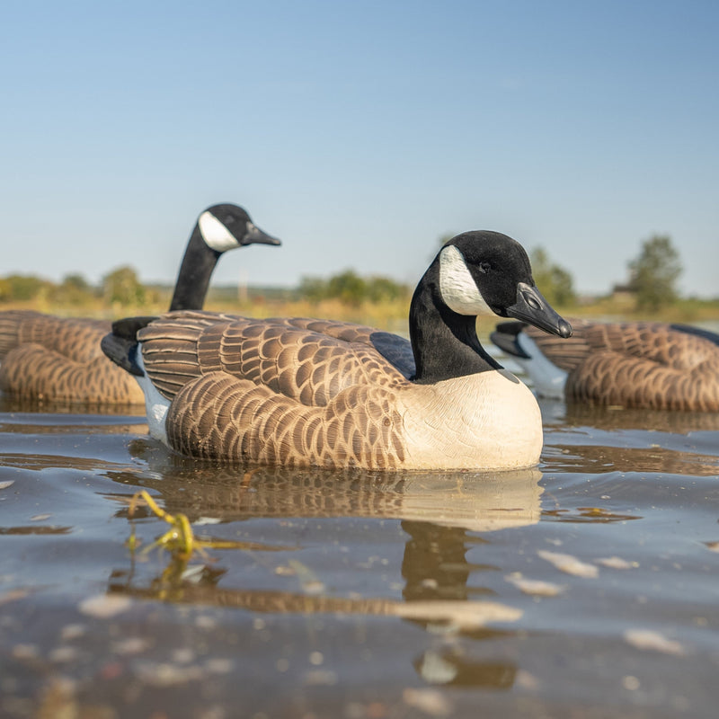 Canada Goose Floaters Floaters
