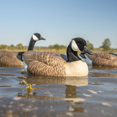 F1 Flocked Canada Floaters