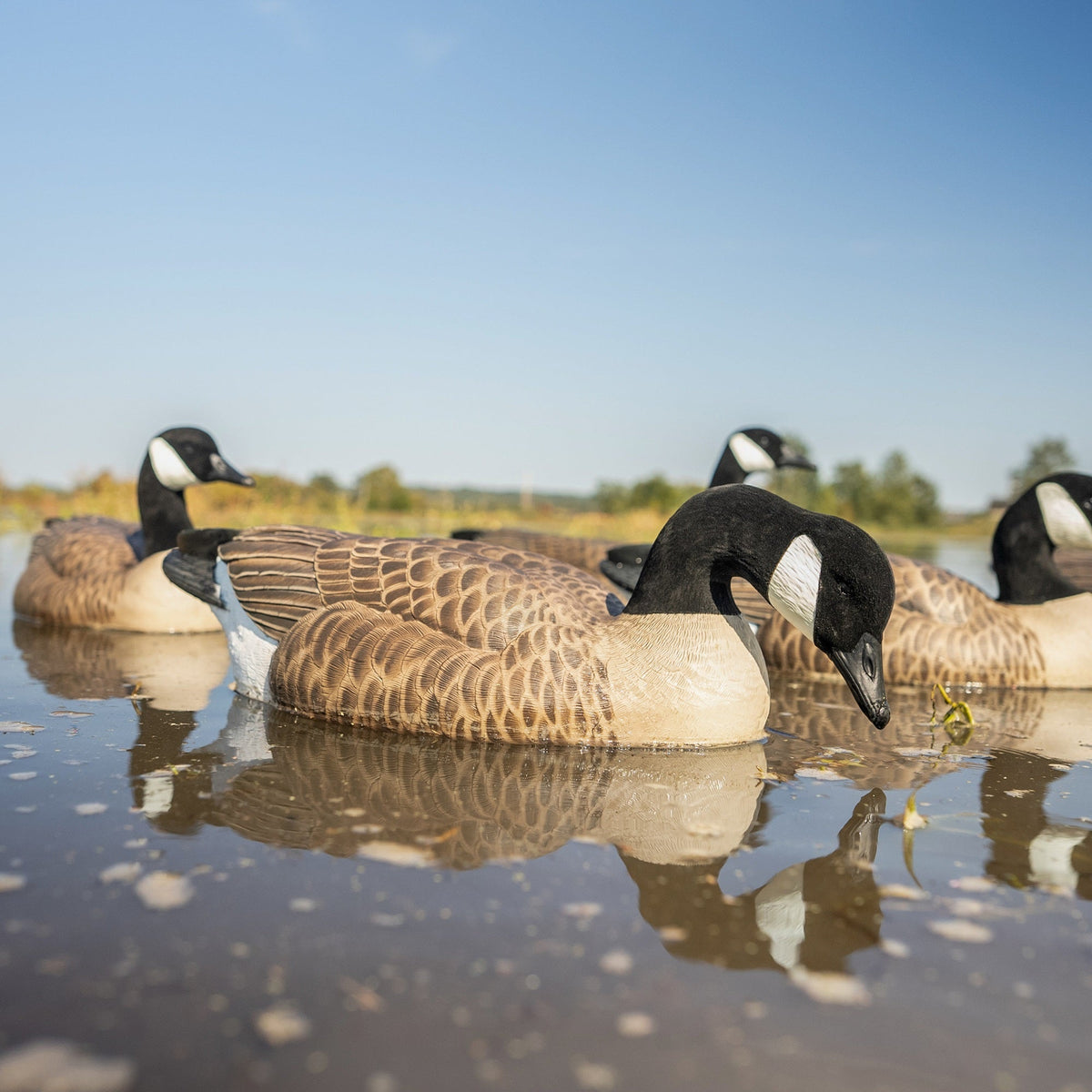 Goose Floaters | Realistic & Durable Decoys – Dive Bomb Industries