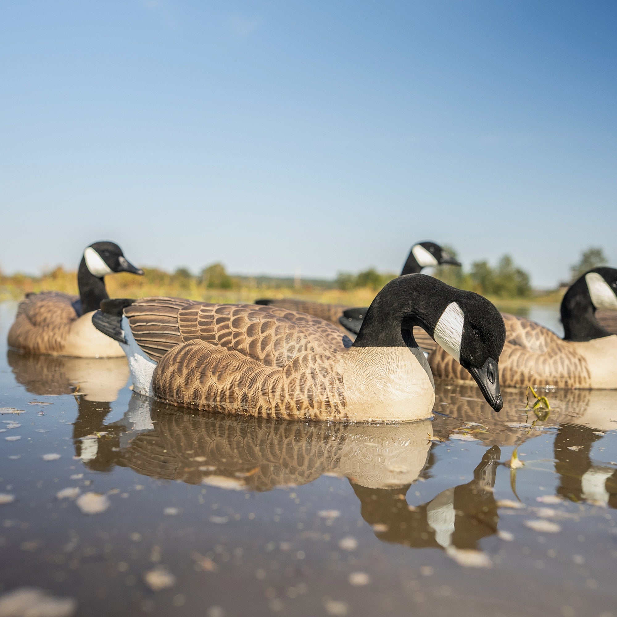 Canada Goose Floaters Floaters