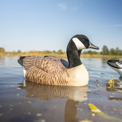 F1 Flocked Canada Floaters