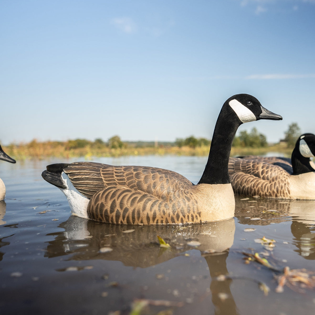 Goose Floaters | Realistic & Durable Decoys – Dive Bomb Industries