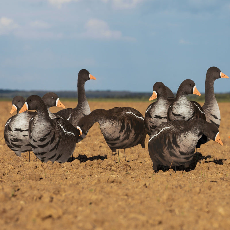 Alternate Specklebelly Goose Silhouettes silhouettes 1 dz
