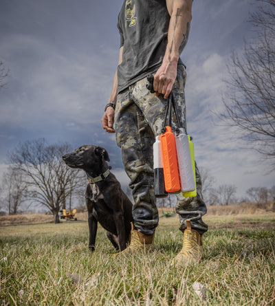 Dog Bumpers