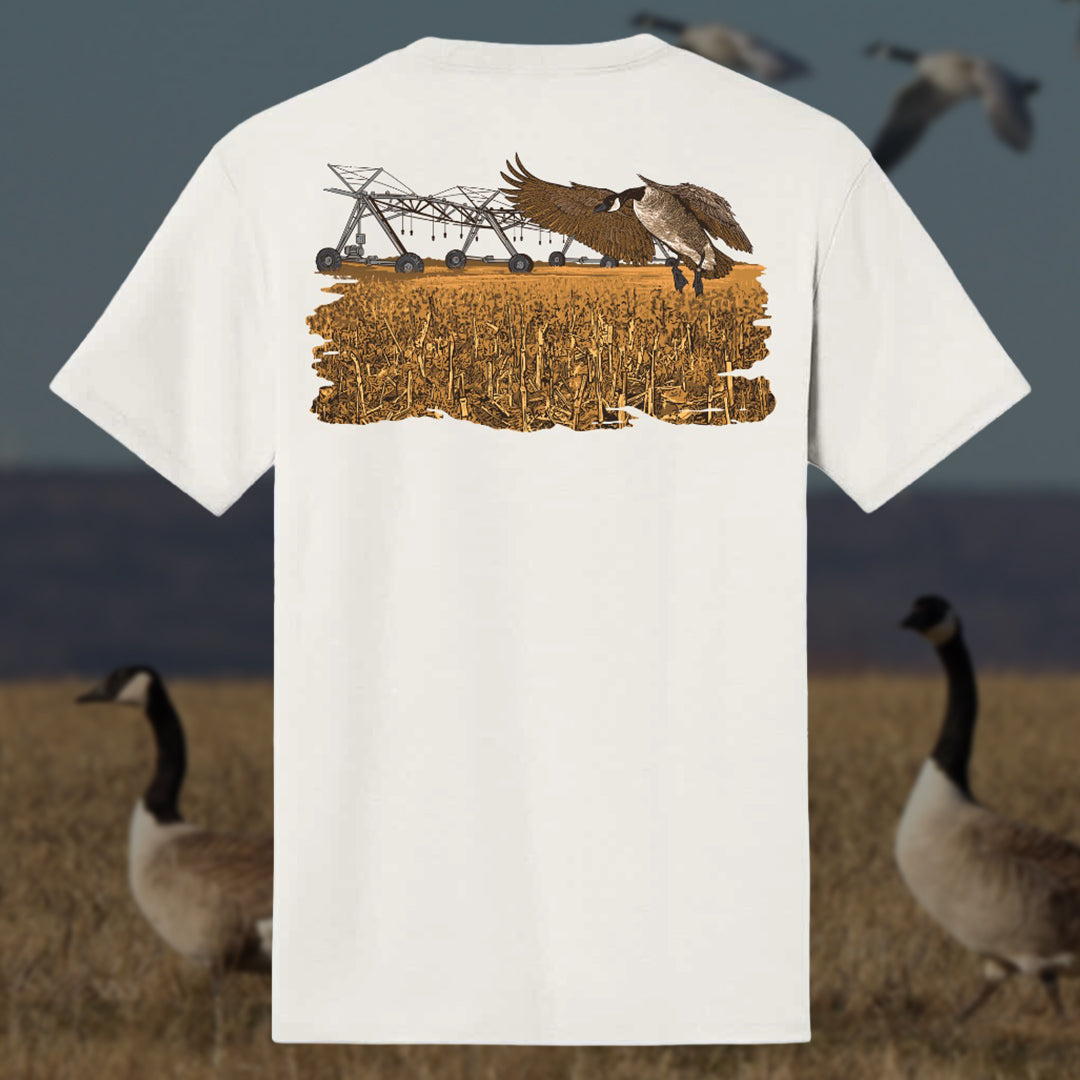 Dive Bomb Shirt of the Month Subscription