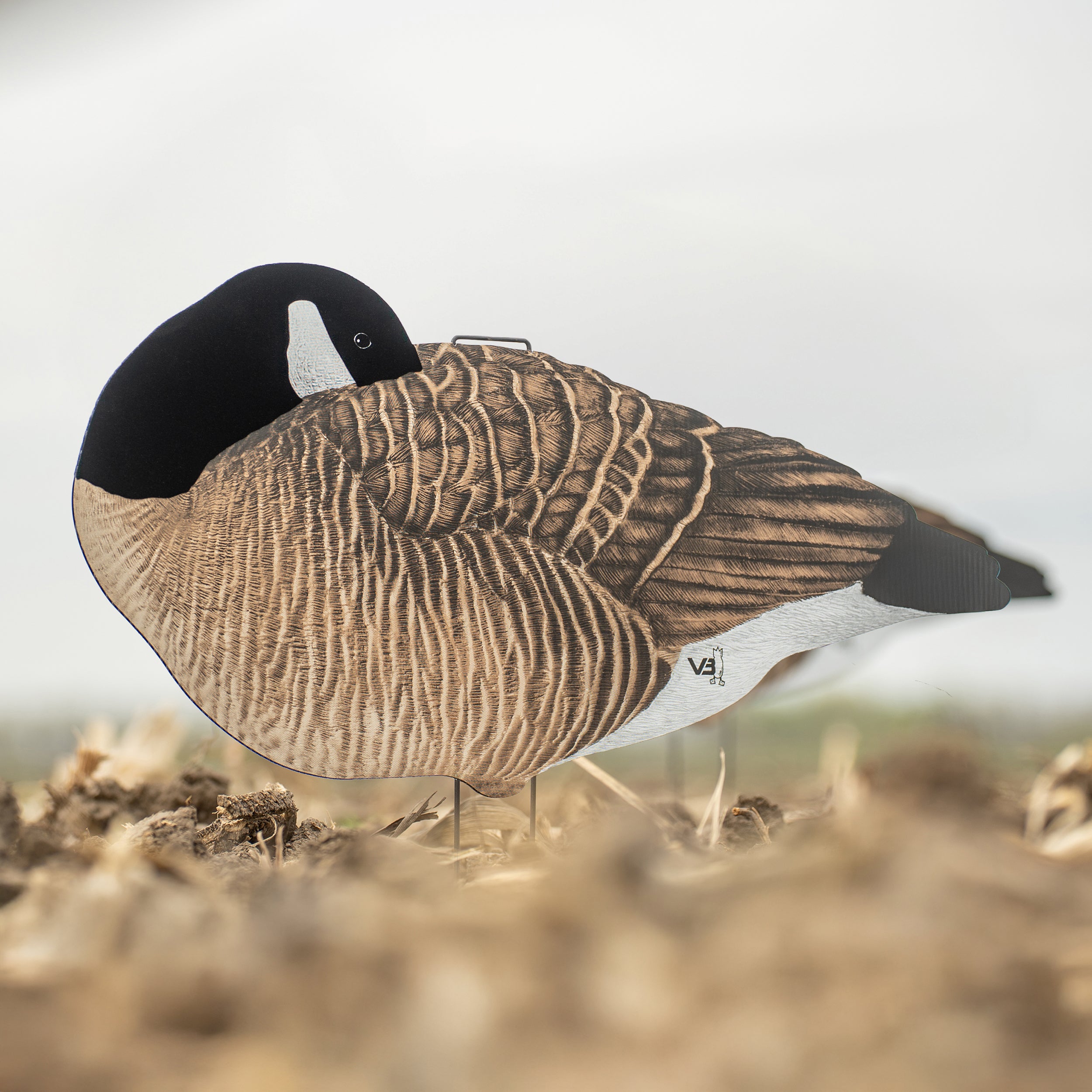 V3F Flocked Sleeper Canada Silhouettes 1 Dozen
