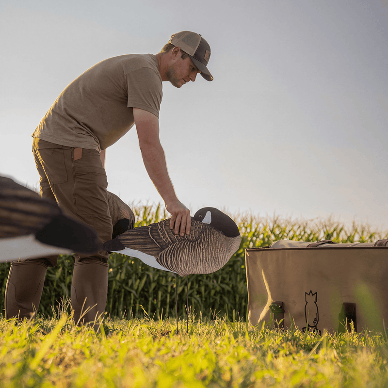 V3 Sleeper Canada Silhouettes silhouettes