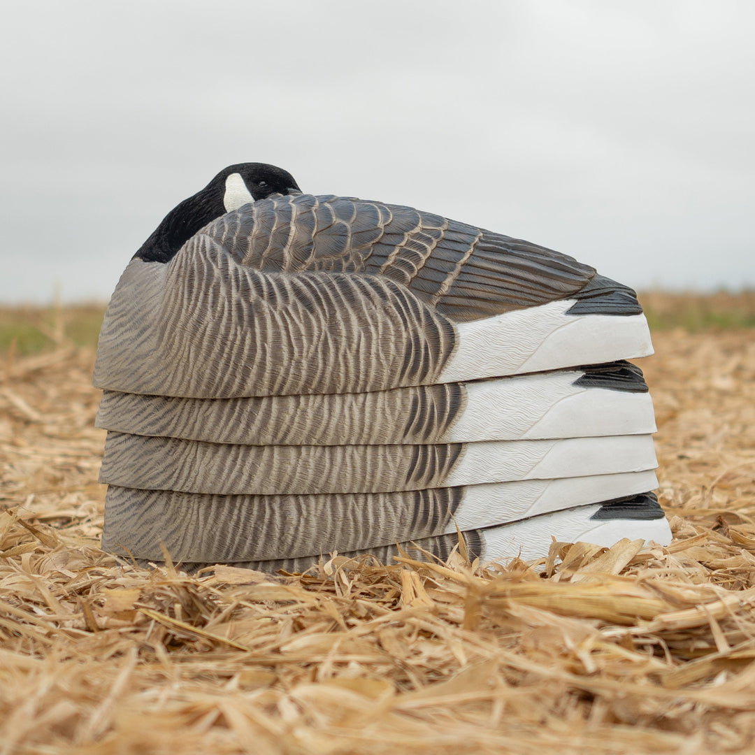 Sleeper Canada Shells | Realistic Resting Goose Decoys