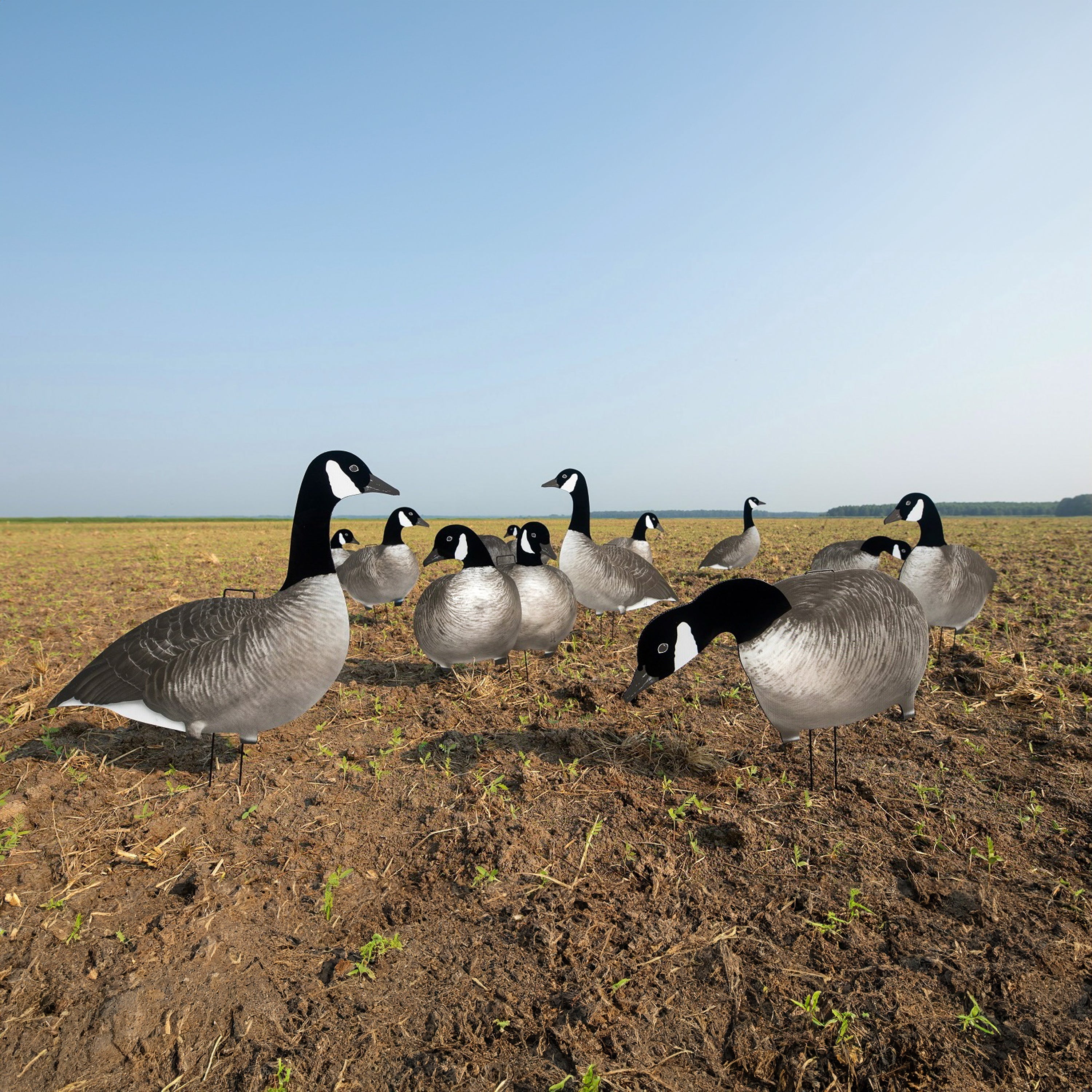 Alternate Flocked Canada Goose Silhouettes silhouettes