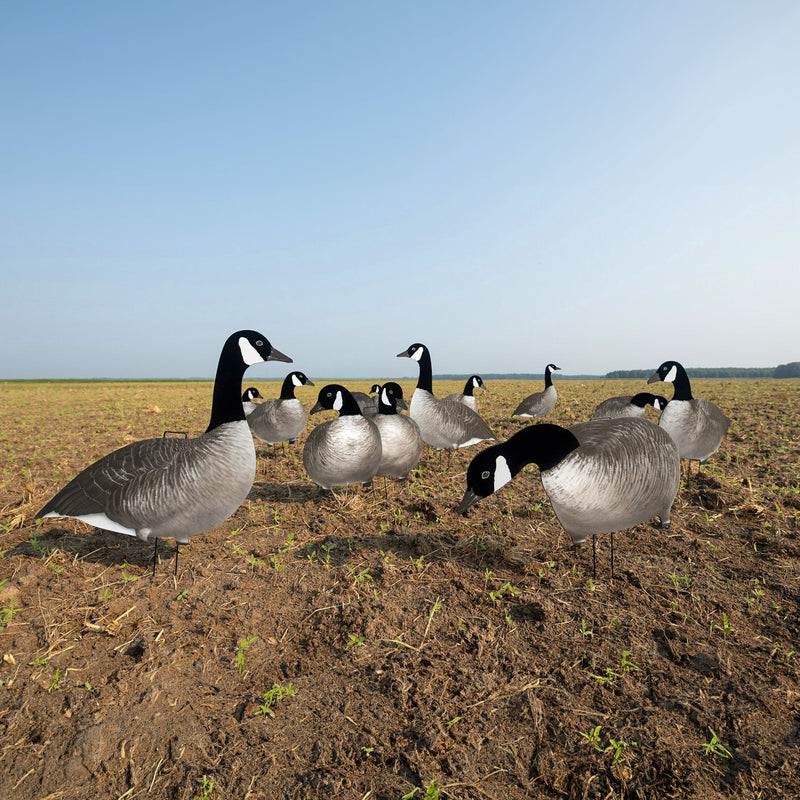 Alternate Flocked Canada Goose Silhouettes silhouettes