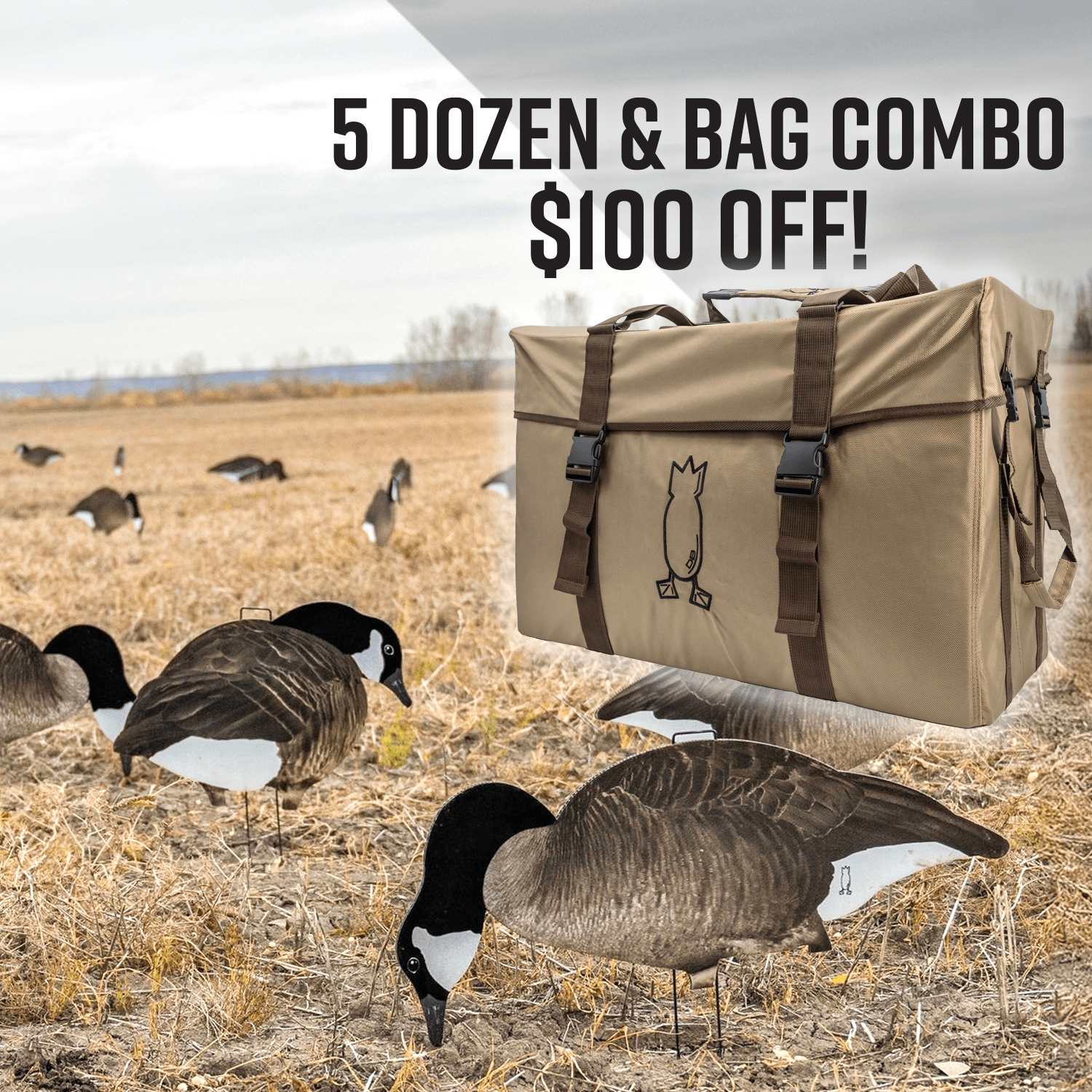 5 Dozen V2FF and Brown Bag Combo - $100 Off