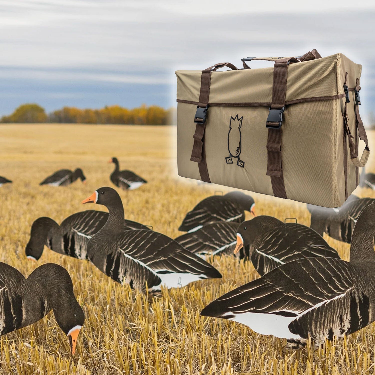 5 Dozen V2FF Fully Flocked Specklebelly Silos & Brown Bag Combo