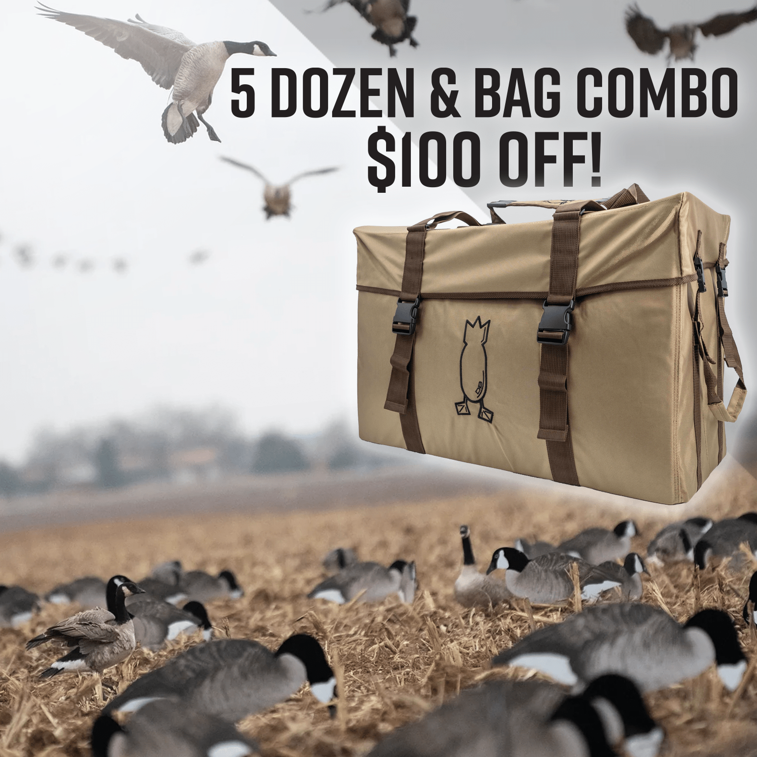 5 Dozen V2F and Brown Bag Combo - $100 Off