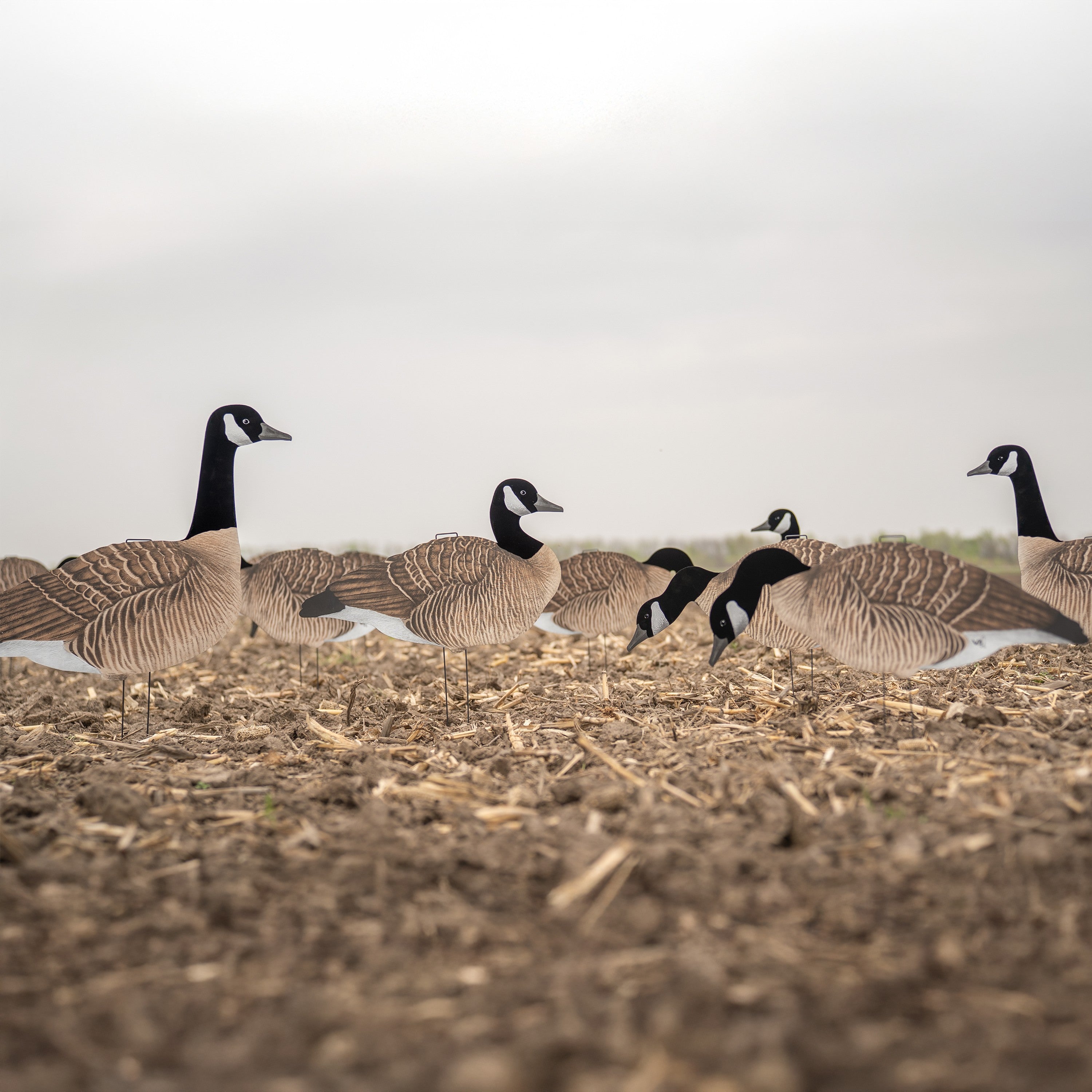 V3F Flocked Goose Silhouettes | Lightweight & Realistic – Dive