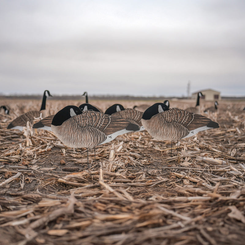 V3FF Fully Flocked Sleeper Canada Silhouettes silhouettes
