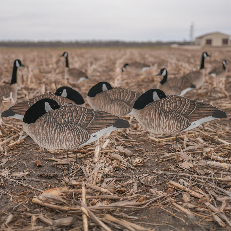 V3FF Fully Flocked Sleeper Canada Silhouettes silhouettes