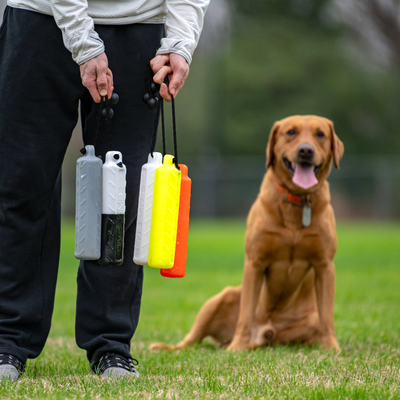 Dog Bumpers