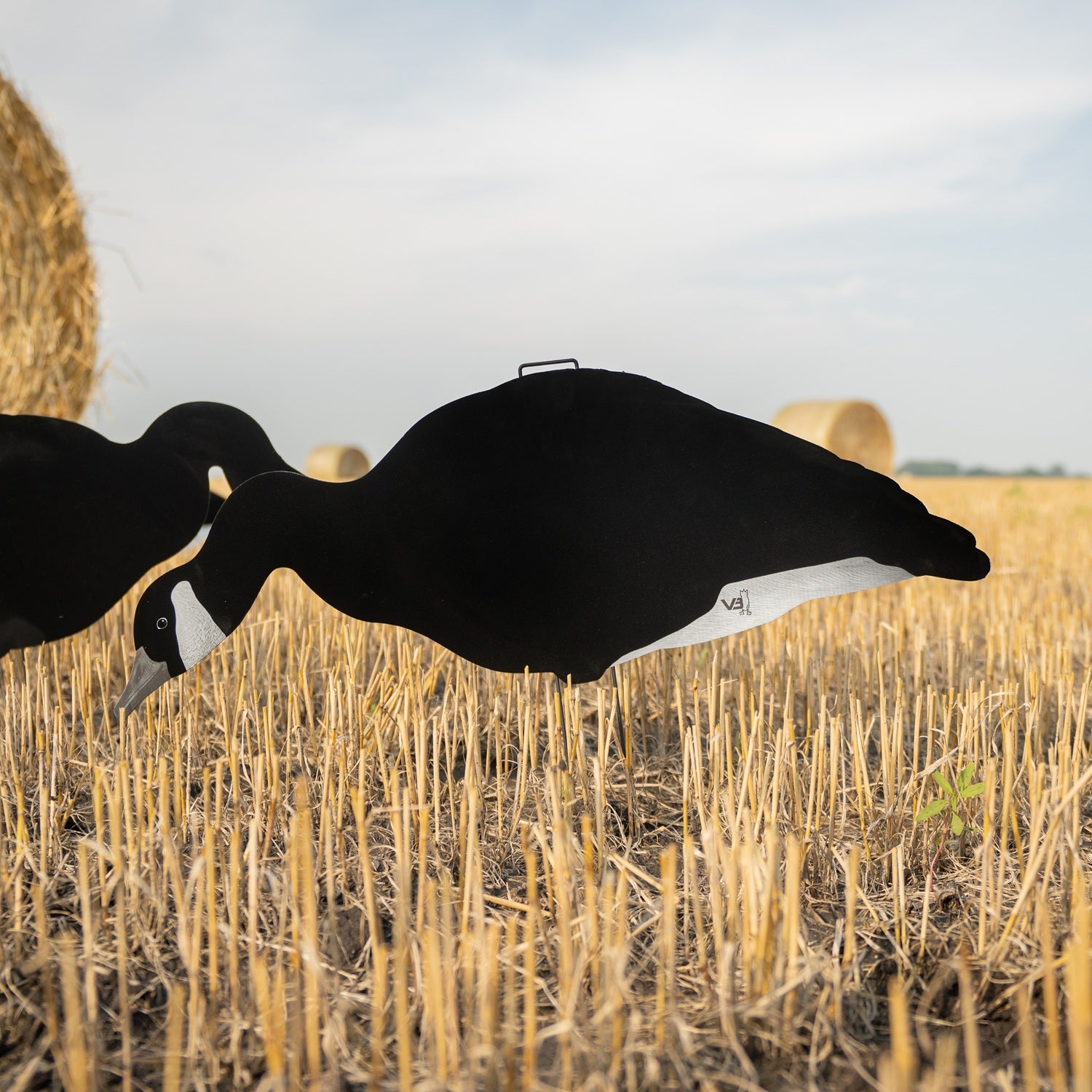 V3BW Flocked Black and White Silhouettes Decoys