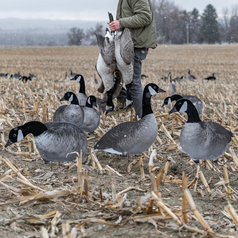 Alternate Flocked Canada Goose Silhouettes silhouettes