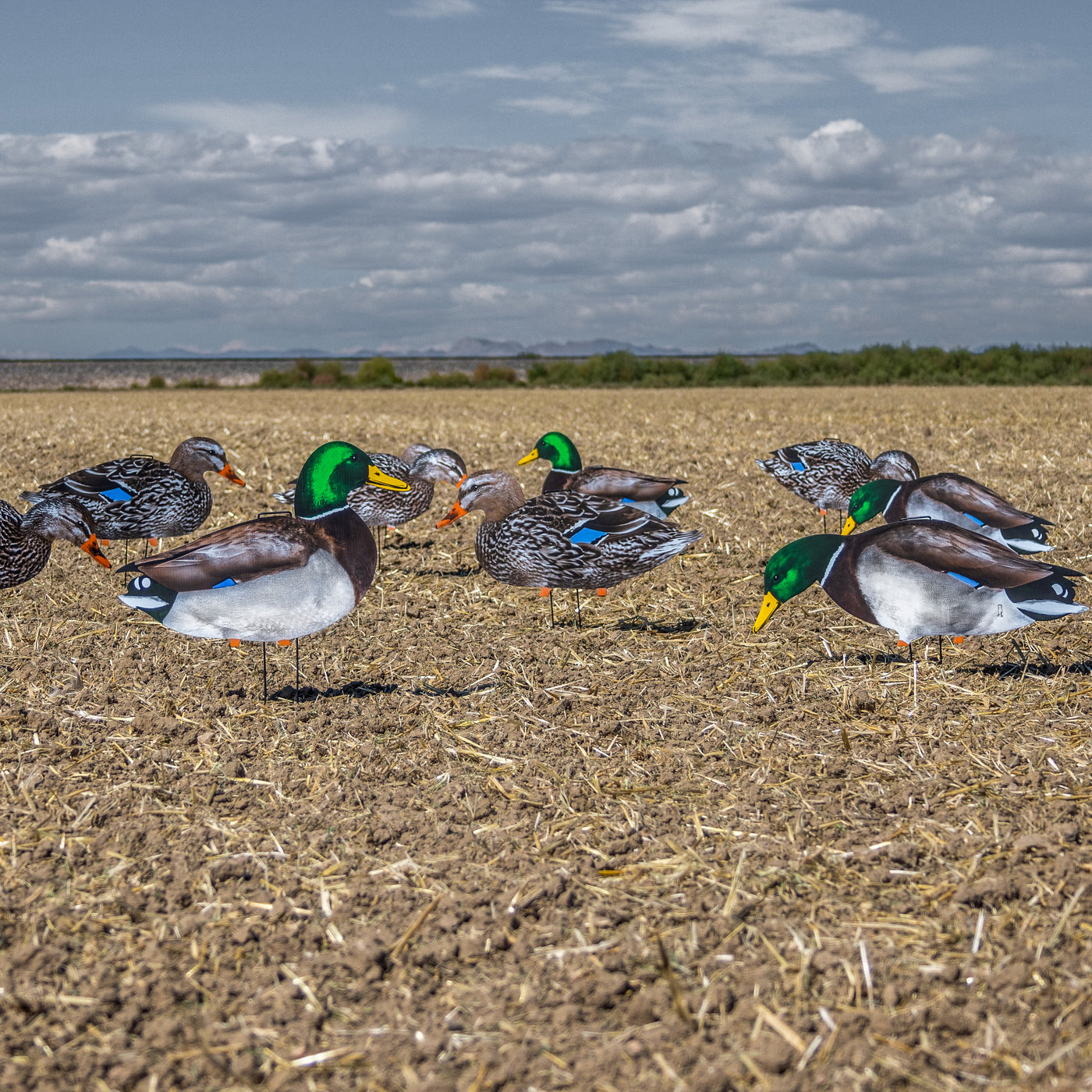 M1 Mallard Silhouettes