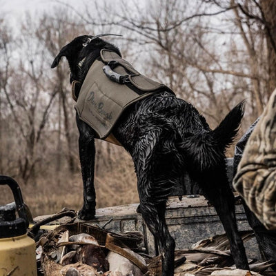 Adjustable Dog Vest