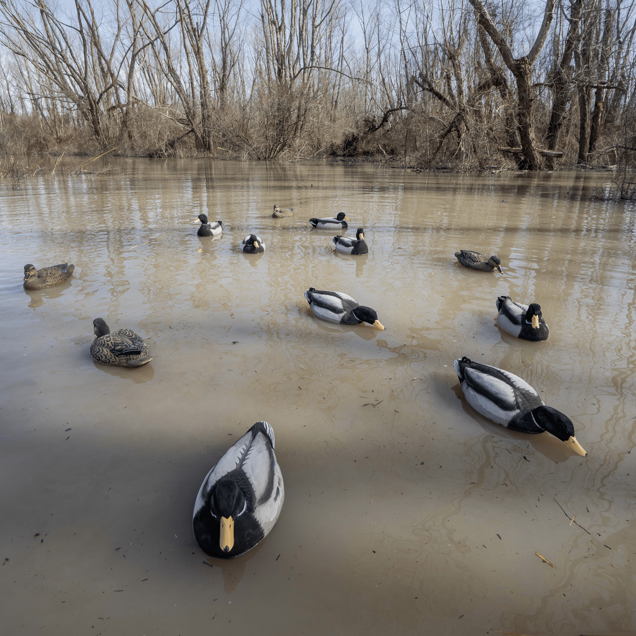 Fully Flocked Mallard Floaters Floaters