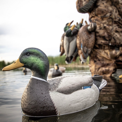 F1 Mallard Floaters