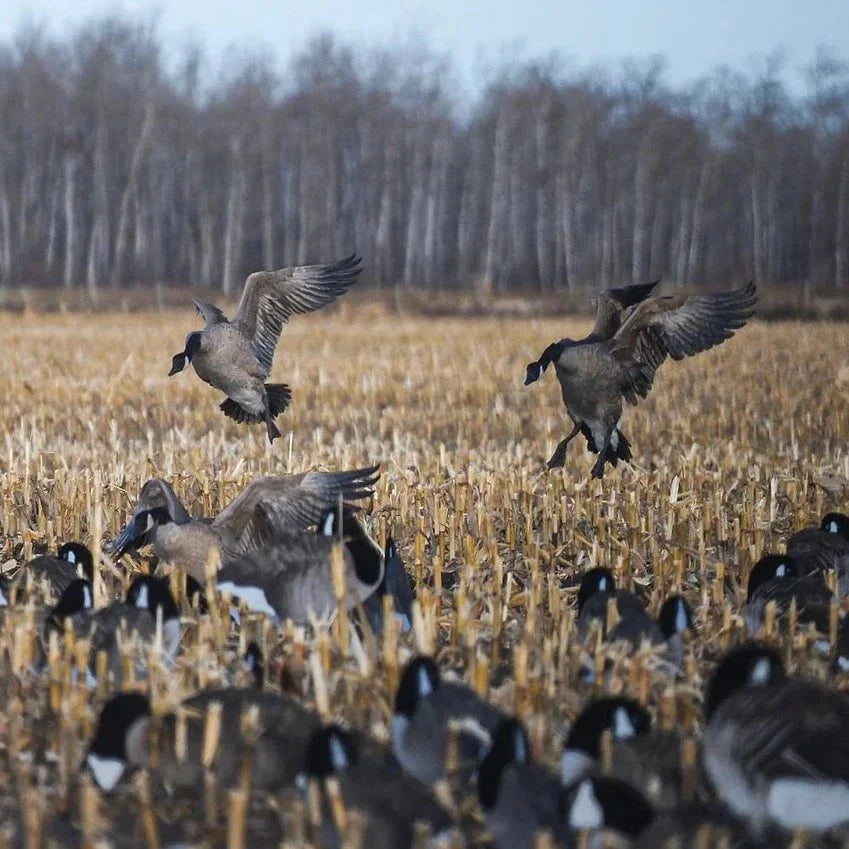 Dive Bomb Industries V2FF Sleeper Canada Goose Silhouettes - Thumbnail 5