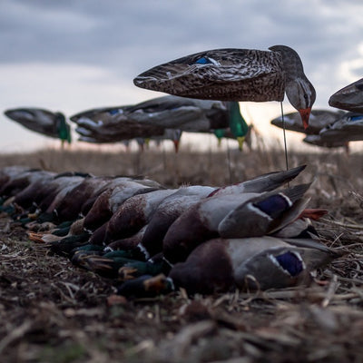 S3i Mallard Socks