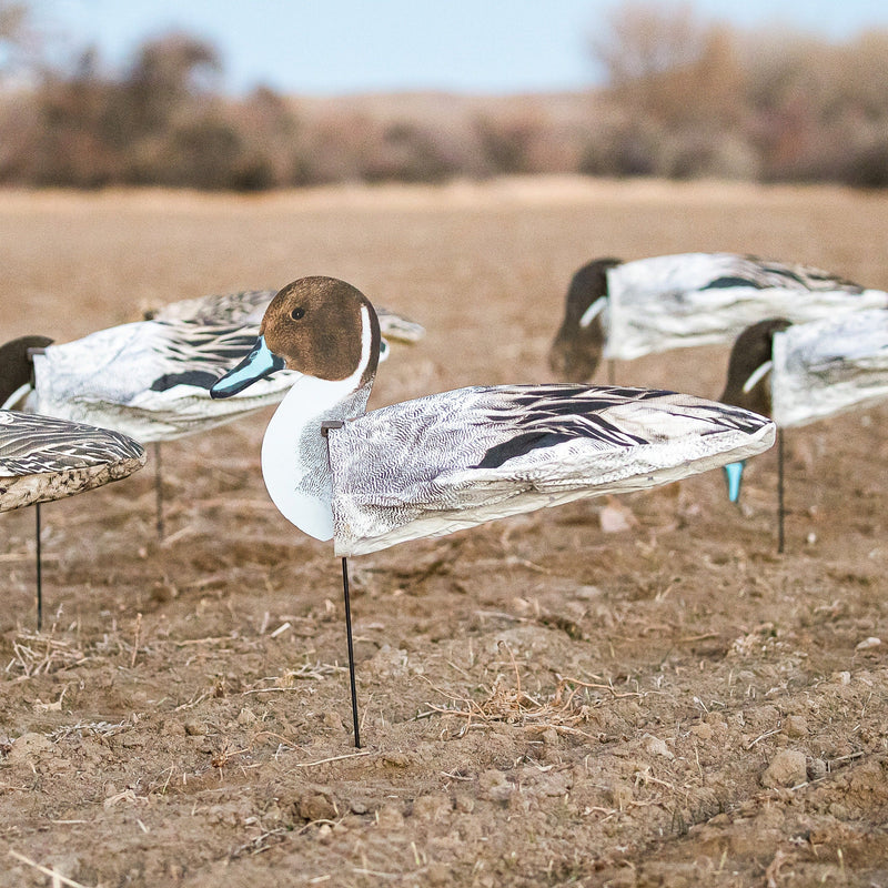 Pintail Socks socks