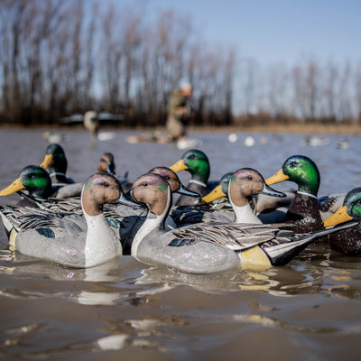 F1 Pintail Floaters