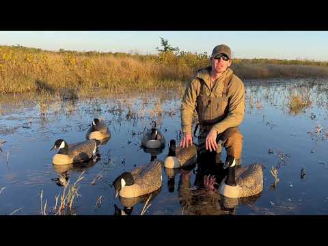 F1 Flocked Canada Floaters