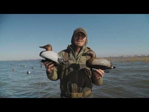 F1 Canvasback Floaters