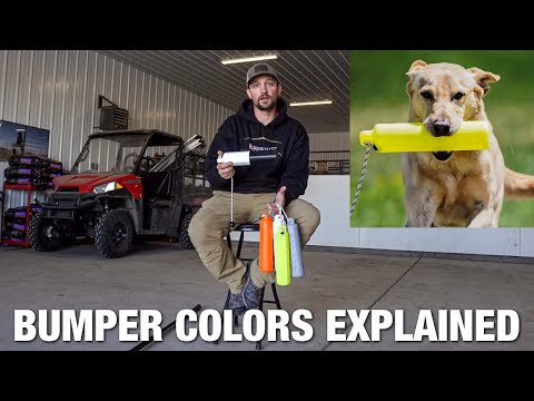 Dog Bumpers