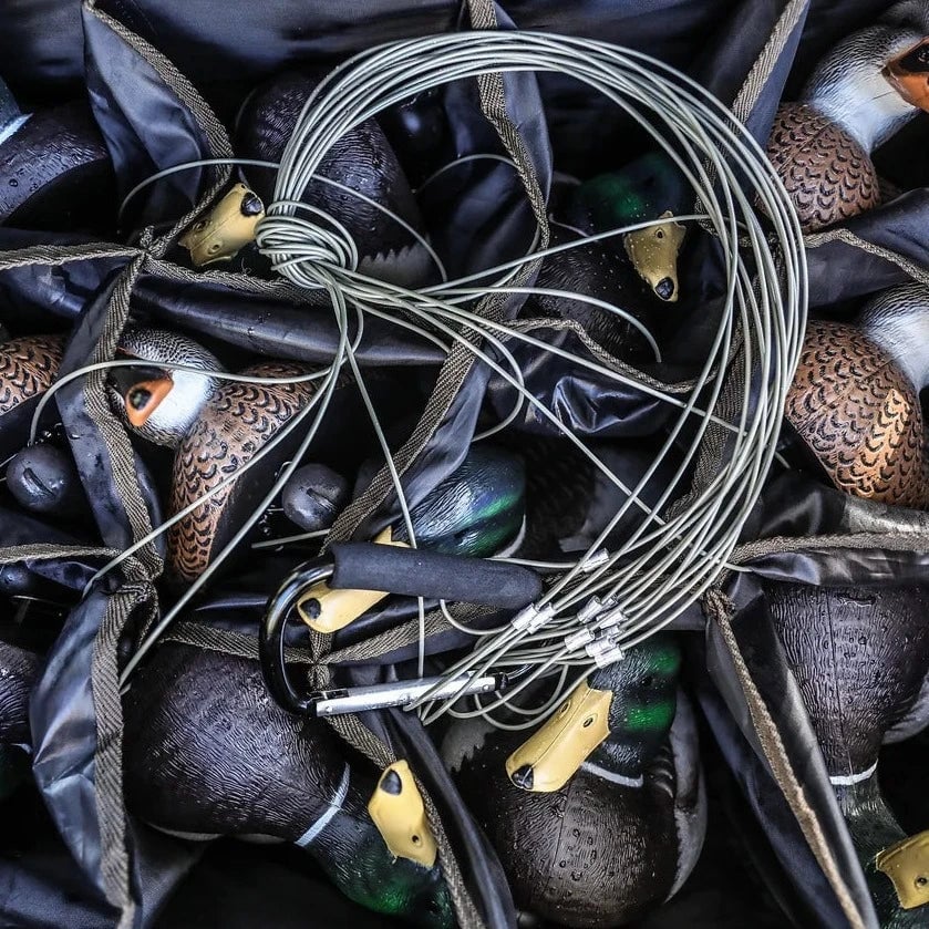 Texas Rigs Tech