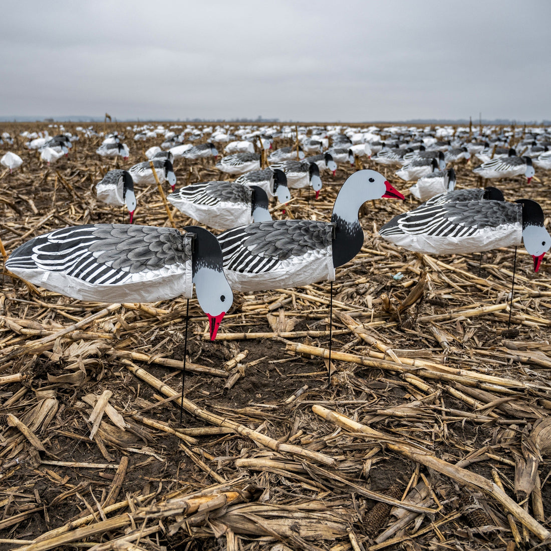Snow Goose Sock Decoys – Dive Bomb Industries