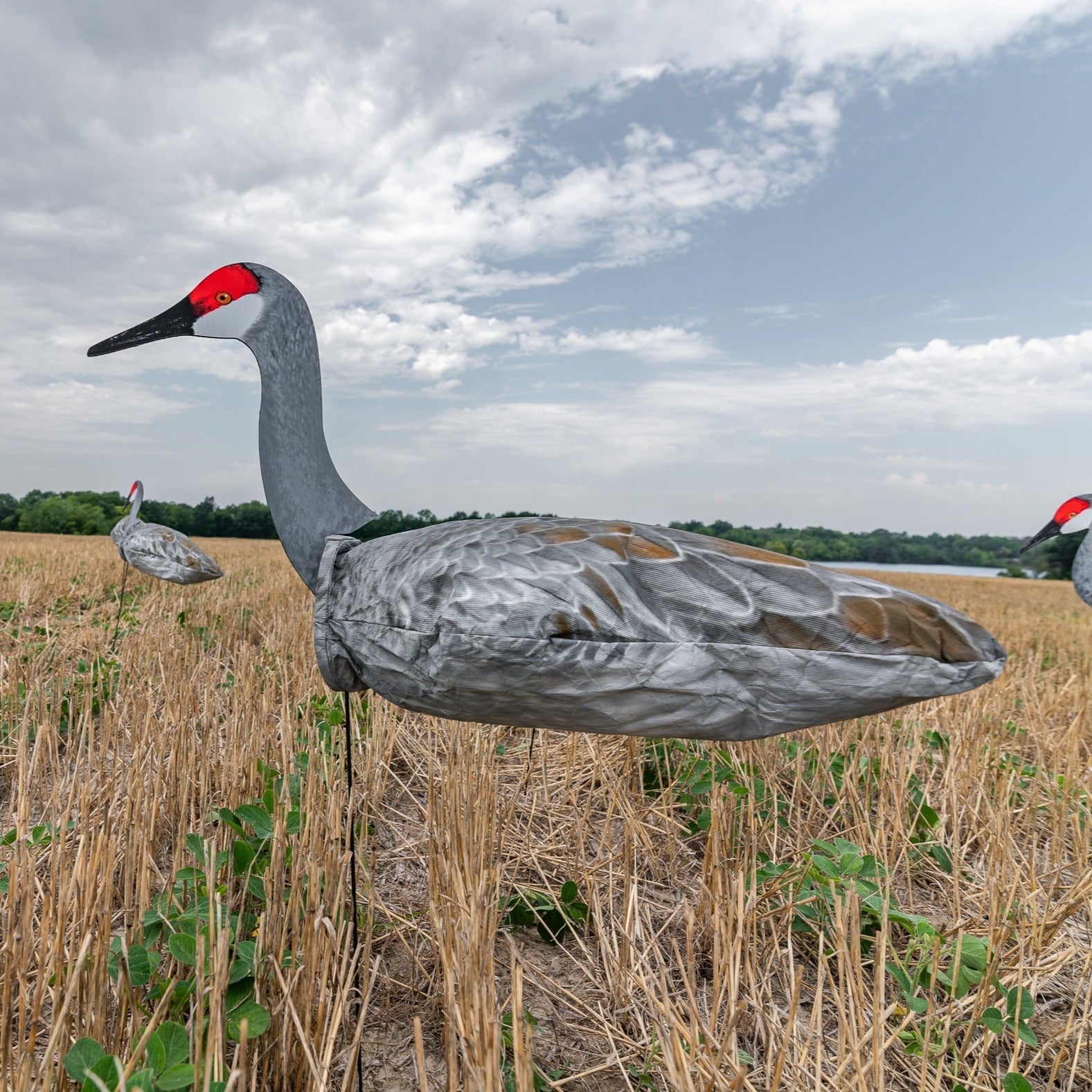Sandhill Crane Socks | Realistic Motion Decoys For Hunting – Dive