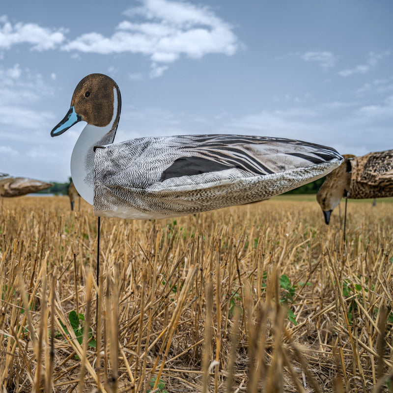 Pintail Socks socks