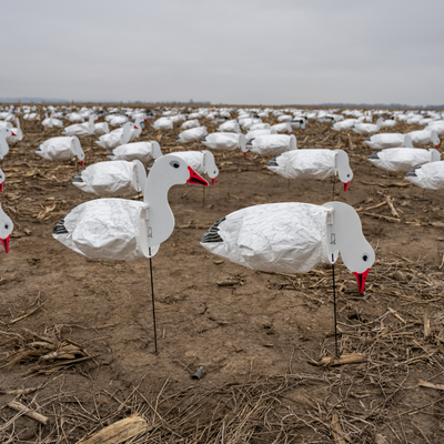 S3i Snow Goose Socks