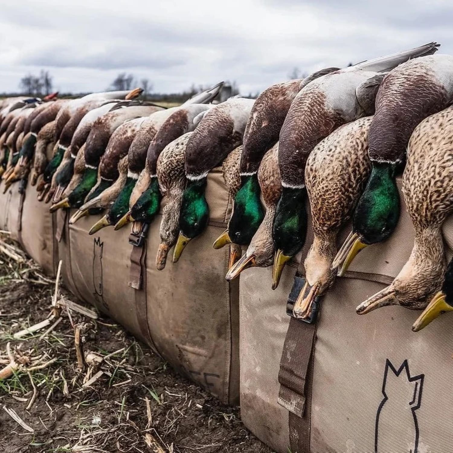 Silhouette Decoy Bag