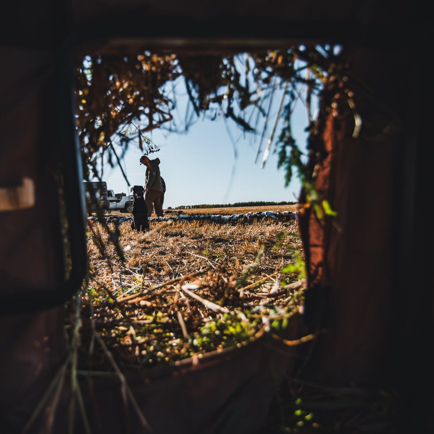 HyVert Field Blind